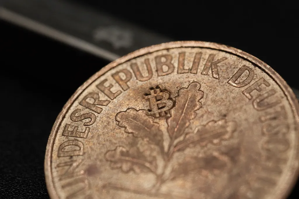 02_Seedor-Bitcoin-Punch-Mood (2).webp