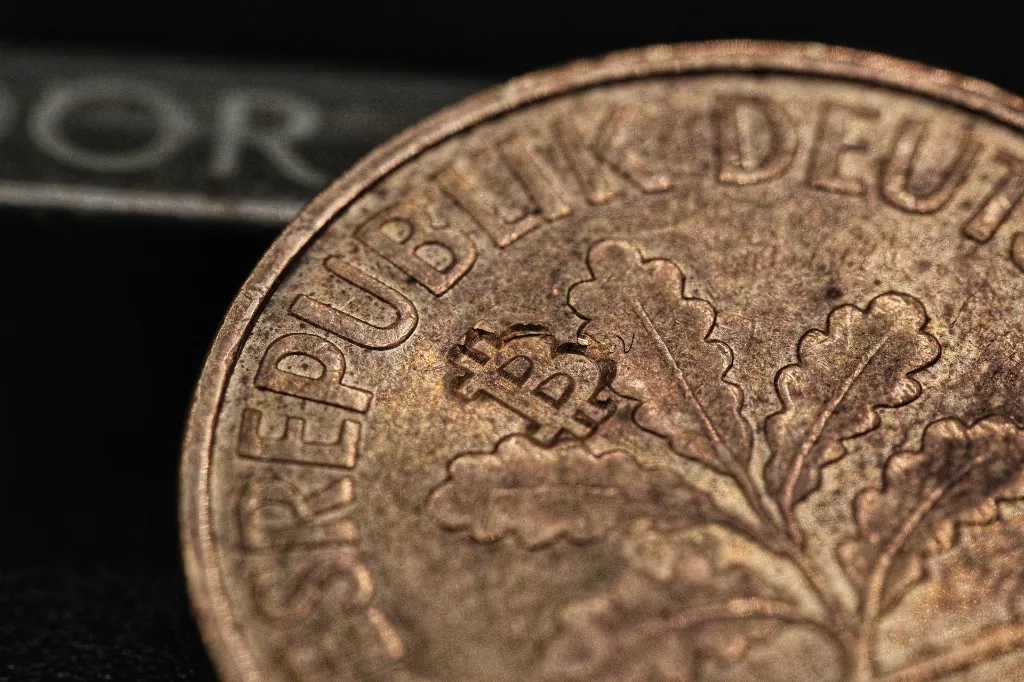 02_Seedor-Bitcoin-Punch-Mood (4).webp