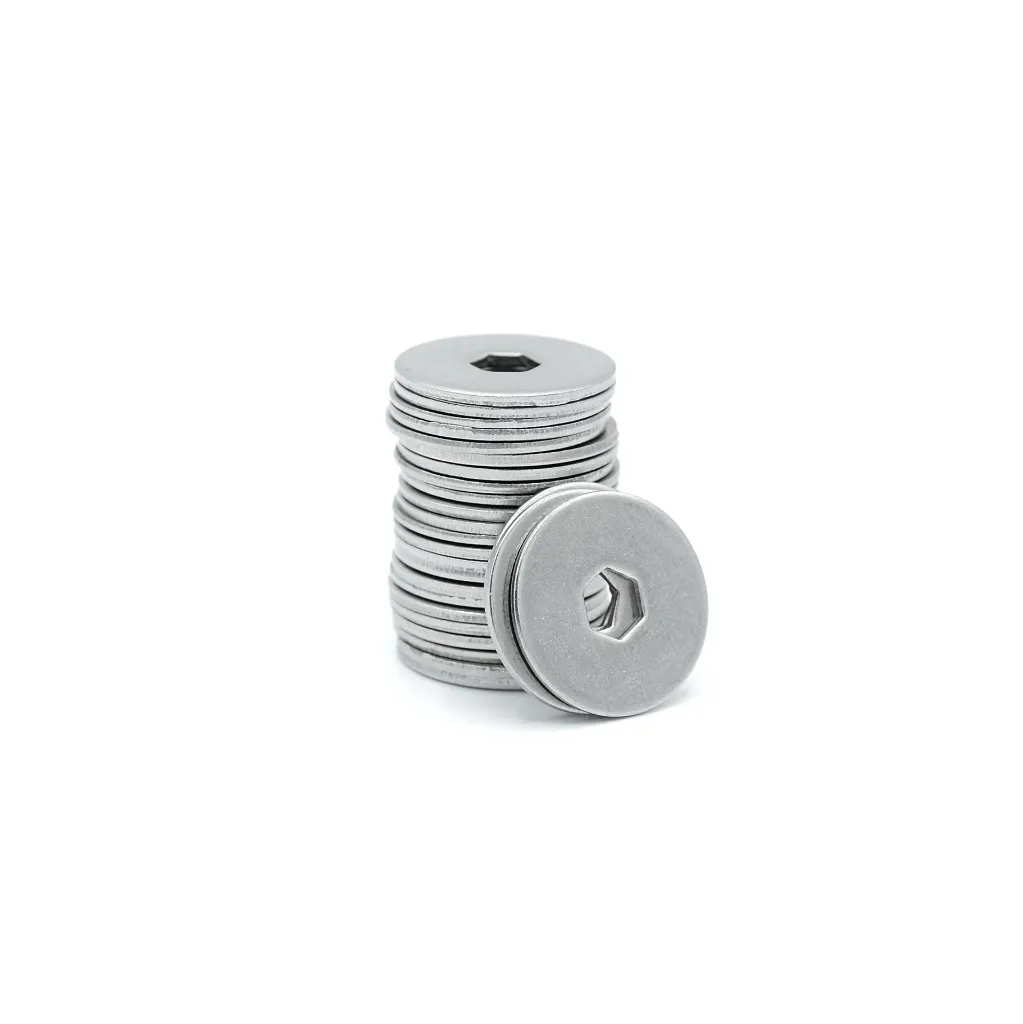[S-D28] Seedor Disks (28 Pieces)